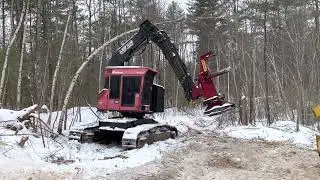 Valmet 425 Feller Buncher