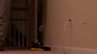 GREATEST SNEAKER PRANK EVER!
