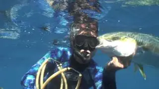 Baja Adventures