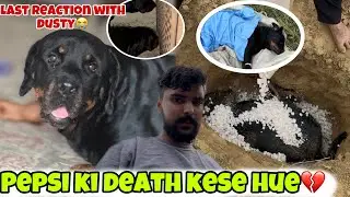 Pepsi ki death kese hue 💔last day with Pepsi