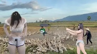 Full:video captures the entire scene of 50,000 ducks migrating from all over to new rural areas.