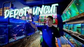 STOCKED UP ON ALL THE FISH  *UNCUT* | VISIO AQUARIUMS | JOSHS' FROGS FRUIT FLIES | NILE MONITOR