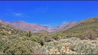 Lovell Canyon, La Madre Mountains, Spring Mountains, Rainbow Mountains, Nevada