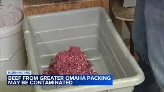 Ground beef potentially contaminated with E. coli, USDA warns