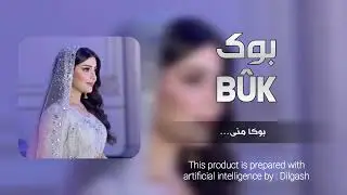 Buk,song by dilgash