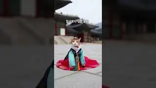 Queen Cat of Gyeongbokgung #Cat  #cats #baby #cute #protective #pets #animals #shorts #viral #fyp#猫