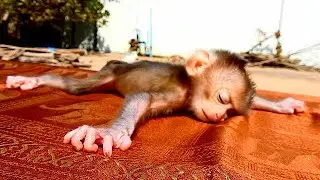 So Weakness!! Newborn Baby Dody Still Weakness, Mom Still Bring Him To Get UV Under Sunlight