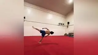 The best flipper of the world (Shosei Iwamoto compilation)