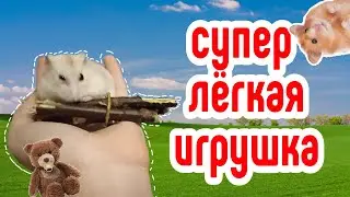 ✅СУПЕР ЛЁГКАЯ ИГРУШКА ДЛЯ ХОМЯКА | как сделать игрушку для хомяка за 5 минут?| HOMUSYA LIFE