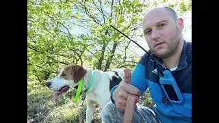 OBUKA NA SVINJU RUS I KOPOVKA!🐗🐕