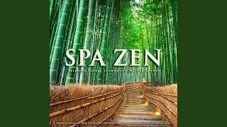 Soft Forest Sounds and Spa Music