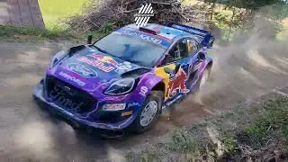 Flat out, full send action WRC Rally Finland 6 minutes of real sound, very fast places