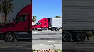 TRUCK SPOTTING #00721 / FREIGHTLINER #automobile #semitrailer #trucker