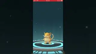 Rattata evolves into Raticate
