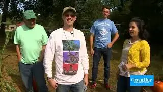 Preston Corn Maze