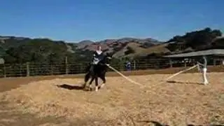Pacific Coast Vaulting Club-Sarah Flax