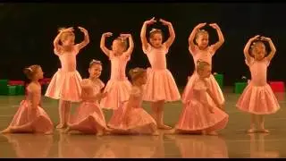 Nerijaus Juškos baleto mokykla - 