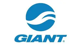 Introducing The New 2019 Giant E-MTB Range