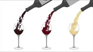Direct Cellars Overview