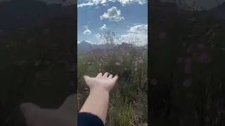 #zirovalley 😇