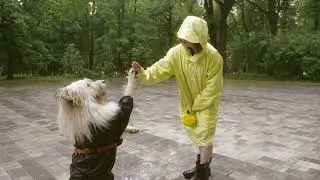 Dresura pasa - fokus na vlasnika