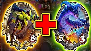 This Combo Gives us an Amazing Beast Game! | Hearthstone Battlegrounds