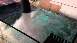 ReeFlo Dart Snapper Hybrid Pump Test