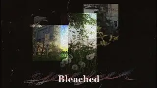 Video Days - Bleached (Fan MV)
