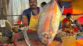 KASIMEDU SPEEDSELVAM BIG SIZE TREVALLY FISH CUTTING VIDEO #kasimeduselvam #fishcutting 
