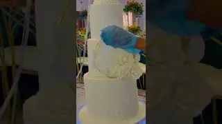 4 tier wedding cake 😍😍. #cake #cakedecorating #weddingcake #cakedesign #cakeart #wedding #weddings