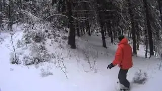 Wood Park Токсово 6