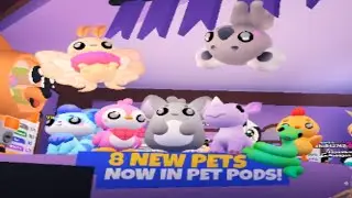 New pets here now in Overlook bay