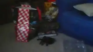 George's pet spider