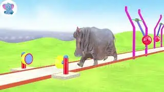 Don't Choose The Wrong Key With Elephant, Cow, Tiger Gorilla Buffalo Escape Room Challenge Cage Game