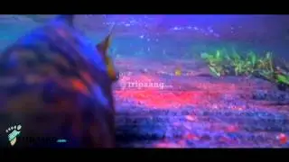 Sink Beneath the Surface - Dandeli Underwater