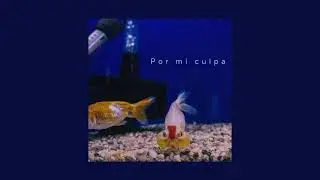 Vriel - El Mismo Ciclo