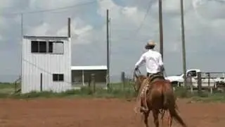 Horse Training - How To Do Horse Problem Solving
