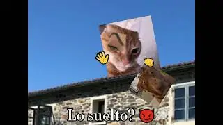 Baja del techo #gatos #funny #viral #gatos