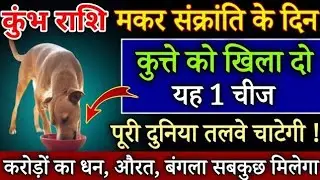 कुंभ राशि मकर संक्राति के दिन कुत्ते को खिलादो यह 1 चीज बिना कुछ करे साथ पुश्ते धन खाएगी/Kumbh Rashi