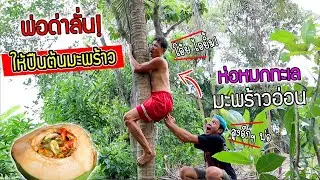 หลอกพ่อปืนต้นมะพร้าว! มาทำห่อหมกทะเลมะพร้าวอ่อน พ่อบ่นยับ.