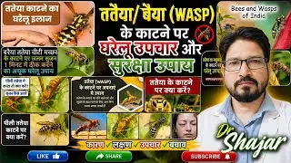 #Tataiya#Barr#insect bite#treatment#education#tataiya katne ke gharelu upaye#upchar#management