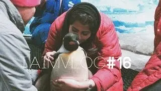 TAIM VLOG #16 |  I Kissed a Penguin و حضنته