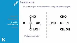 Carbohydrate Classification