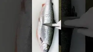 Cut Lake 🐟Fish#traditionalcooking#lakefish#cuttingskills#cutfish#riverfish#naturalhealth
