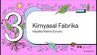 Bitkinin yapısı