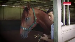 Redkirk Warrior's long haul trip to Ascot