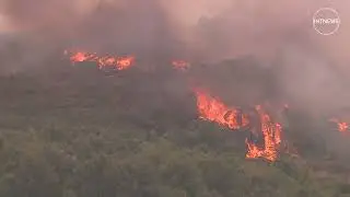 Portugal Wildfires Rage for Fourth Day as Heatwave Fuels Massive Blaze