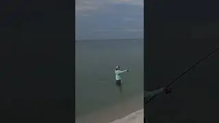 Shocking! #surffishing #beachfishing #beach #beachbum