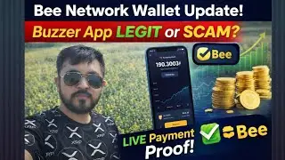 Bee network wallet update.Buzzer app Legit or scam.Live payment proof!?Best project?