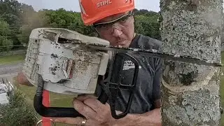 Fairly complex simple tree removal 